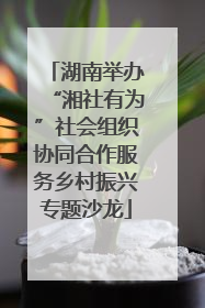 湖南举办“湘社有为”社会组织协同合作服务乡村振兴专题沙龙