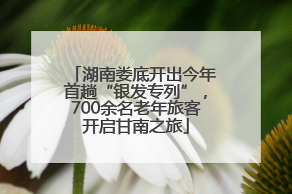 湖南娄底开出今年首趟“银发专列”，700余名老年旅客开启甘南之旅