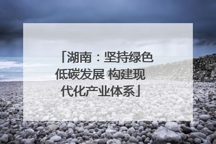 湖南：坚持绿色低碳发展 构建现代化产业体系