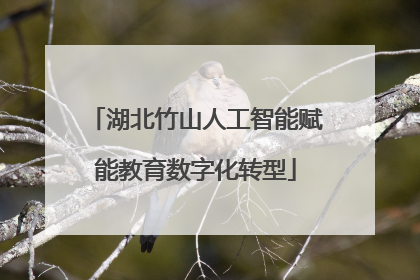 湖北竹山人工智能赋能教育数字化转型