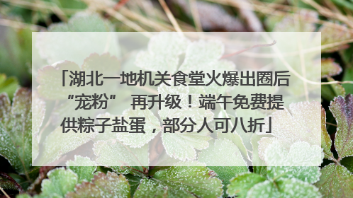 湖北一地机关食堂火爆出圈后“宠粉” 再升级！端午免费提供粽子盐蛋，部分人可八折