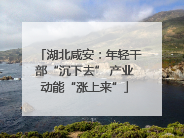 湖北咸安：年轻干部“沉下去” 产业动能“涨上来”