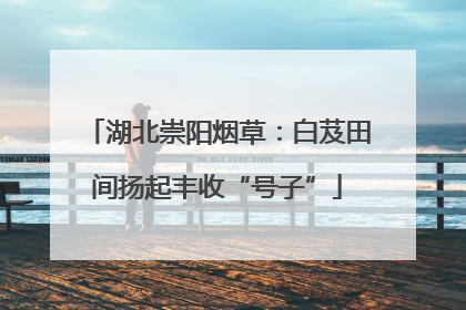 湖北崇阳烟草：白芨田间扬起丰收“号子”