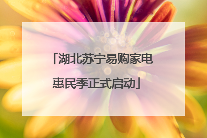 湖北苏宁易购家电惠民季正式启动