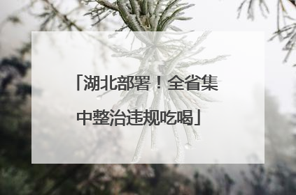 湖北部署！全省集中整治违规吃喝