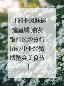 湘非风味碰撞星城 浦发银行长沙分行协办中非经贸博览会美食节