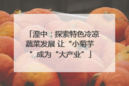 湟中：探索特色冷凉蔬菜发展 让“小菊芋”成为“大产业”