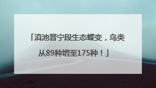 滇池晋宁段生态蝶变，鸟类从89种增至175种！
