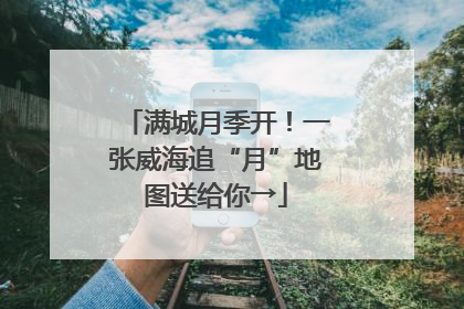 满城月季开！一张威海追“月”地图送给你→