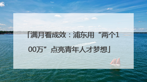 满月看成效：浦东用“两个100万”点亮青年人才梦想