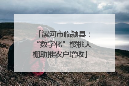 漯河市临颍县：“数字化”樱桃大棚助推农户增收