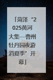 菏泽“2025黄河大集—曹州牡丹园夜游消夏季”开幕