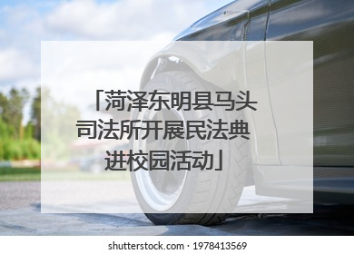 菏泽东明县马头司法所开展民法典进校园活动