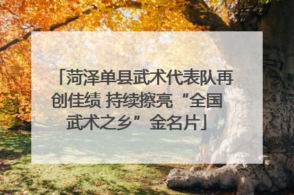 菏泽单县武术代表队再创佳绩 持续擦亮“全国武术之乡”金名片