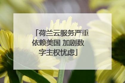 荷兰云服务严重依赖美国 加剧数字主权忧虑