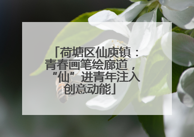 荷塘区仙庾镇：青春画笔绘廊道，“仙”进青年注入创意动能