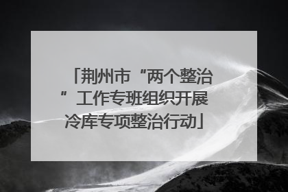 荆州市“两个整治”工作专班组织开展冷库专项整治行动