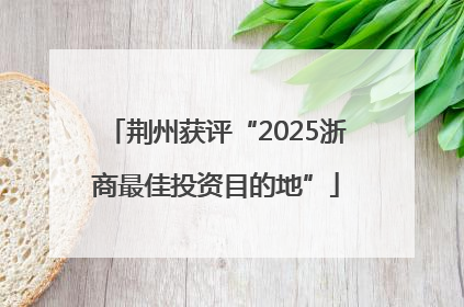 荆州获评“2025浙商最佳投资目的地”