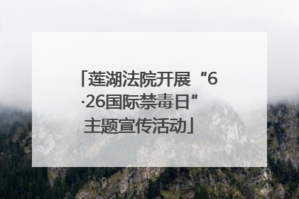 莲湖法院开展“6·26国际禁毒日”主题宣传活动
