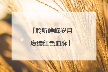 聆听峥嵘岁月 赓续红色血脉