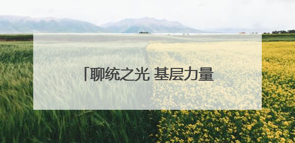 聊统之光 基层力量丨李云：用脚步丈量数据 用责任守护真实