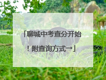 聊城中考查分开始！附查询方式→