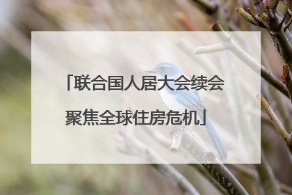 联合国人居大会续会聚焦全球住房危机