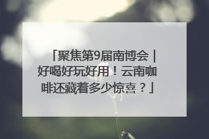 聚焦第9届南博会｜好喝好玩好用！云南咖啡还藏着多少惊喜？