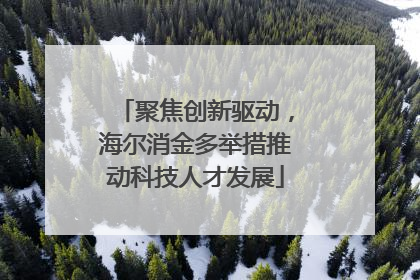 聚焦创新驱动，海尔消金多举措推动科技人才发展