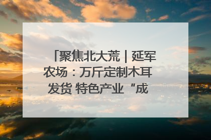 聚焦北大荒｜延军农场：万斤定制木耳发货 特色产业“成绩单”亮眼