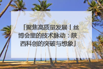 聚焦高质量发展丨丝博会里的技术脉动：陕西科创的突破与想象