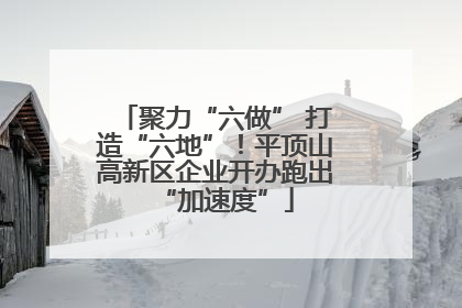 聚力“六做” 打造“六地”！平顶山高新区企业开办跑出“加速度”