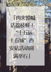 肉夹馍喊话荔枝鲜！“十五运·十五城”西安站活动圆满举行