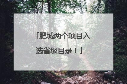 肥城两个项目入选省级目录！