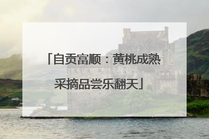 自贡富顺：黄桃成熟 采摘品尝乐翻天