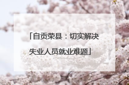 自贡荣县：切实解决失业人员就业难题