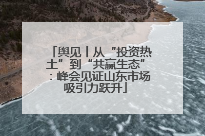 舆见丨从“投资热土”到“共赢生态”：峰会见证山东市场吸引力跃升