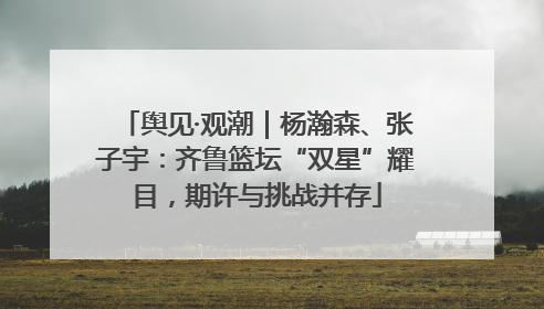 舆见·观潮｜杨瀚森、张子宇：齐鲁篮坛“双星”耀目，期许与挑战并存