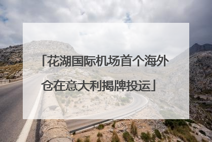 花湖国际机场首个海外仓在意大利揭牌投运