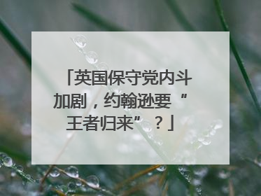 英国保守党内斗加剧，约翰逊要“王者归来”？