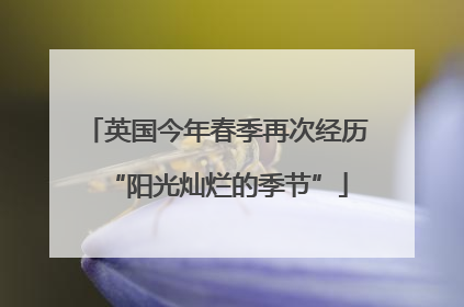 英国今年春季再次经历“阳光灿烂的季节”