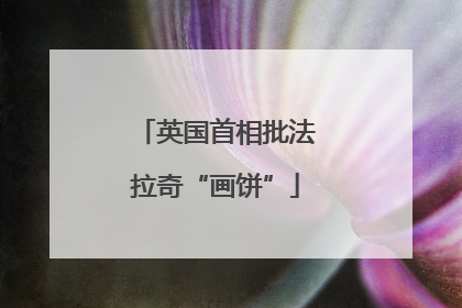 英国首相批法拉奇“画饼”