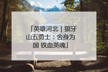 英雄河北｜狼牙山五勇士：舍身为国 铁血英魂