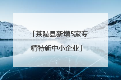 茶陵县新增5家专精特新中小企业