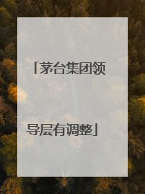 茅台集团领导层有调整