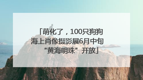 萌化了，100只狗狗海上肖像摄影展6月中旬“黄海明珠”开放