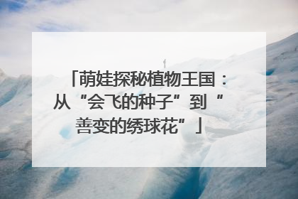 萌娃探秘植物王国：从“会飞的种子”到“善变的绣球花”