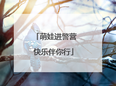 萌娃进警营 快乐伴你行