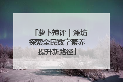 萝卜辣评｜潍坊探索全民数字素养提升新路径