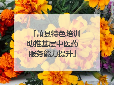 萧县特色培训助推基层中医药服务能力提升